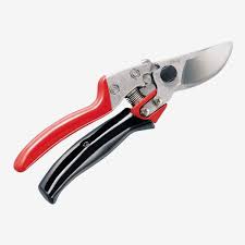11 best garden shears loppers and