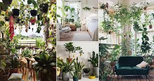 Beautiful Indoor Garden Pictures