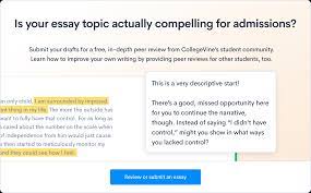 If you lose italics, paste them in the common app text box. How To Write The Common App Essays 2021 2022 With Examples