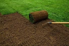 brown garden soil suppliers kolkata for