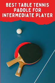 best table tennis paddle for