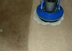 dry carpet cleaning mentor 44060