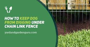 dog from digging under chain link fence