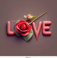 red rose png 3724 3724