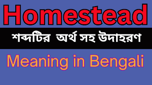 bengali homestead mane ki