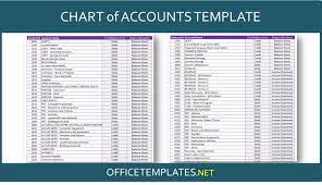 chart of accounts template