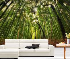 Bamboo Forest Footpath Green 3d Full