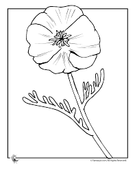 Flower Page Printable Coloring Sheets Fantasy Jr Poppy Flower