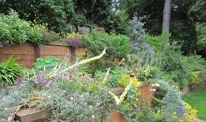 How To Build A Tiered Garden On A Slope