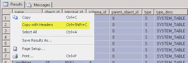 copy column headers and query results