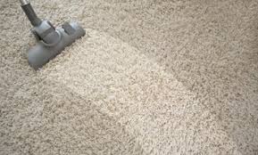 gainesville carpet cleaning deals in