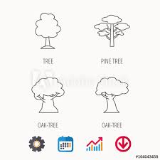 Pine Tree Oak Tree Icons Forest Trees Linear Sign