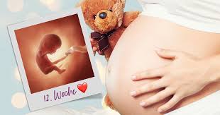 In welcher schwangerschaftswoche (ssw) bin ich gerade? á… 12 Ssw Schwangerschaftswoche Alle Infos Grosse Entwicklung