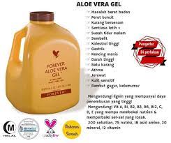 One thing they all have in common is that most swear by the efficacy of aloe vera to treat problems successfully. Forever Aloe Vera Gel Original Free Gift Shopee Malaysia