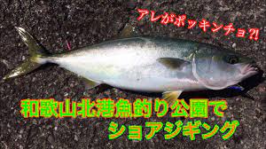 和歌山北港魚つり公園でショアジギング（◯◯がポッキンチョ編） - YouTube