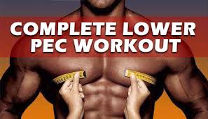 lower pec workout for a bigger chest