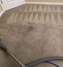 a professional carpet cleaner in