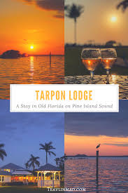 Tranquil Tarpon Lodge A Taste Of Old Florida Life Along