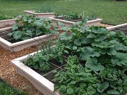 build a 16 sqft raised garden bed for
