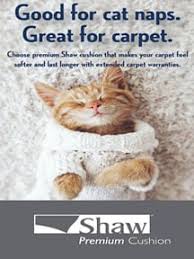 carpet cushion by shaw warehouse carpets