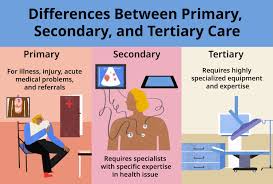 primary secondary tertiary and