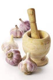 garlic spray for pests learn about