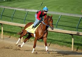 Image result for kentucky derby images 2016 ago