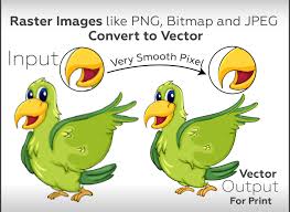 raster to vector conversion
