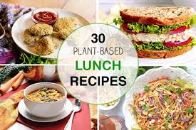30 plant based lunch ideas for