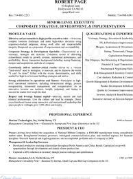 Resume templates find the perfect resume template. Download Ceo Resume Template For Free Formtemplate