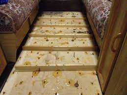 caravan floor delamination repair