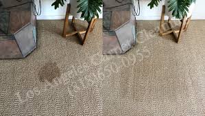 carpet cleaning los angeles carpet