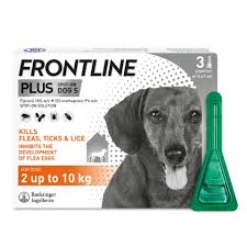 frontline plus flea treatment for dogs