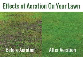 Image result for aerating