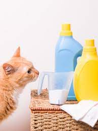 why do cats like the smell of bleach