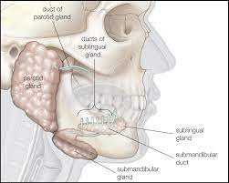 symptoms of salivary gland cancer