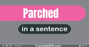 use parched in a sentence