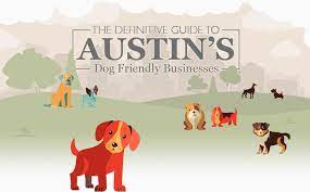 dog friendly businesses