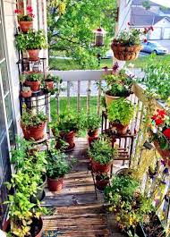 Urban Gardening Balcony