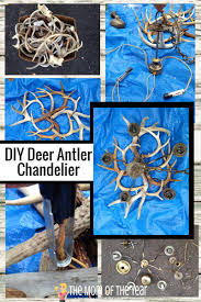 diy deer antler chandelier the mom of