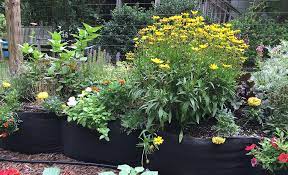 How To Garden With Grow Bags The Home