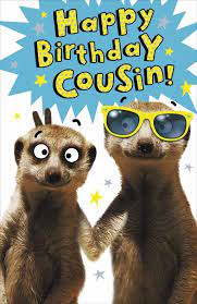 cousin cute meerkat happy birthday