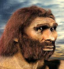 Neanderthal man - Neanderthal man - Reconstitution of the face of the Neanderthal  man (Homo neanderthalensis). The Neanderthals