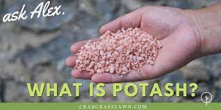 what is potash and what is it used for