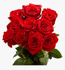 red roses valentine s day delivery