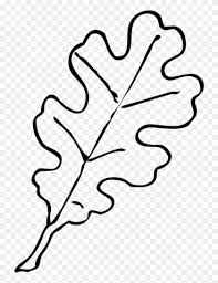Permalink To Leaf Outline Owl Clipart Oak Tree Leaf Drawing Free