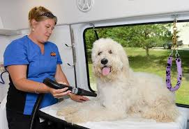 Your pet is part of the family, and should be treated as such. Aussie Pet Mobile Franchise For Sale Cost Fees All Details Requirements