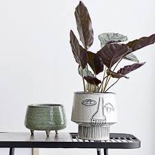 trouva large grey glazed face plant pot