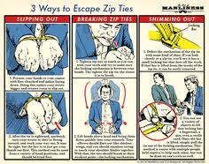 77 Best The Art Of Manliness Images Art Of Manliness
