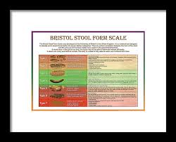 Bristol Stool Form Scale Framed Print